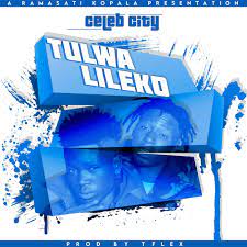 Tulwa Lileko