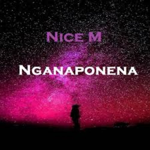 Nganaponena (Ft Chef 187, Pilato)