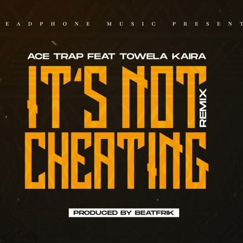 It's Not Cheating Remix (Ft Towela Kaira)