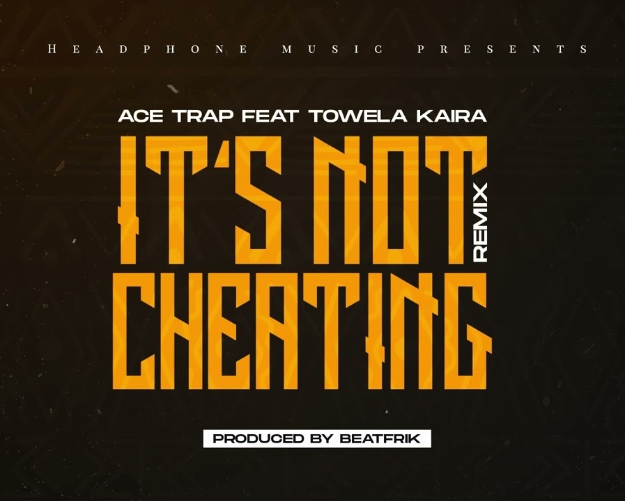 It's Not Cheating Remix (Ft Towela Kaira)