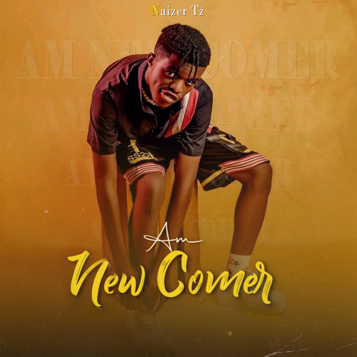 Am New Comer by Naizer Tz | Album