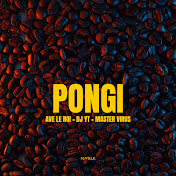 Pongi (Ft DJ YT, Master Virus)
