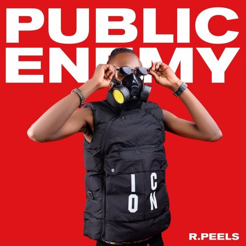 Public Enemy by R Peels