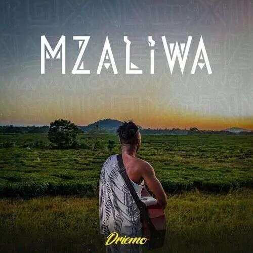 Mzaliwa by Driemo