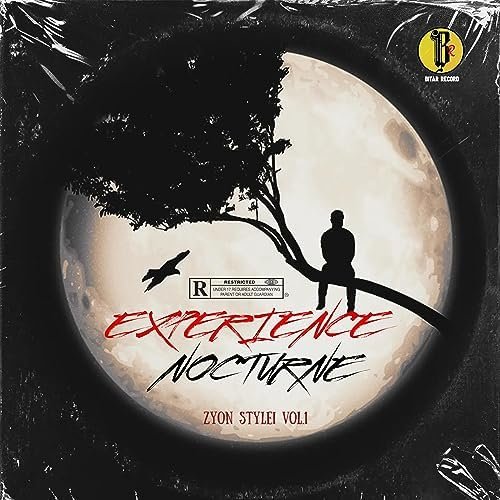 Expériences Nocturnes Vol. 1 by Zyon Stylei | Album