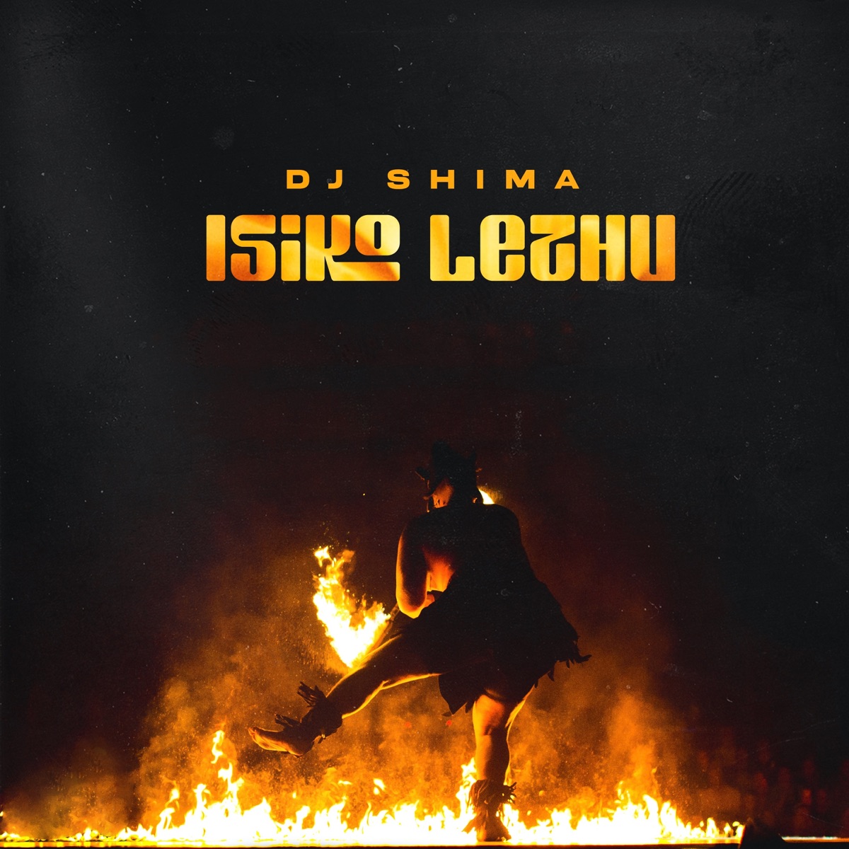 Isiko Lethu by DJ Shima | Album