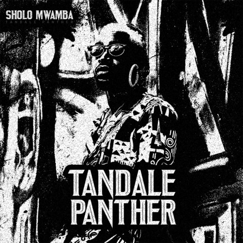 Tandale Panther by Sholo Mwamba