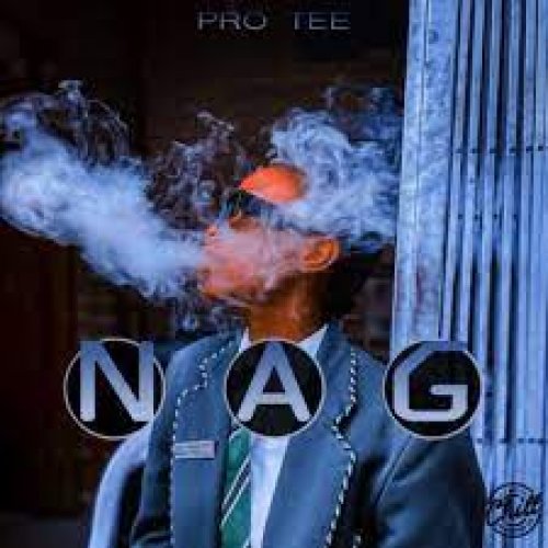 NAG 2 by Pro-Tee | Album