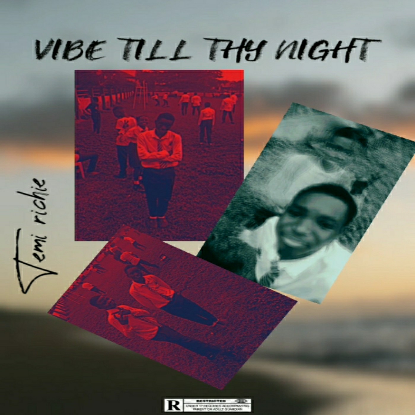 VIBE TILL THY NIGHT by Temi Richie | Album