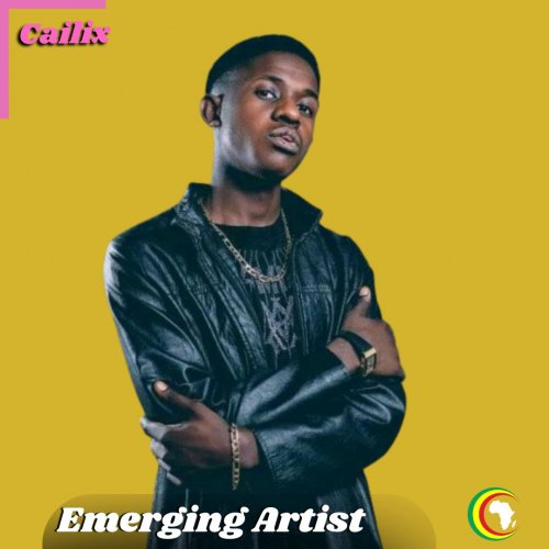 Emerging Artists