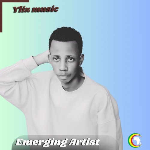 Emerging Artists