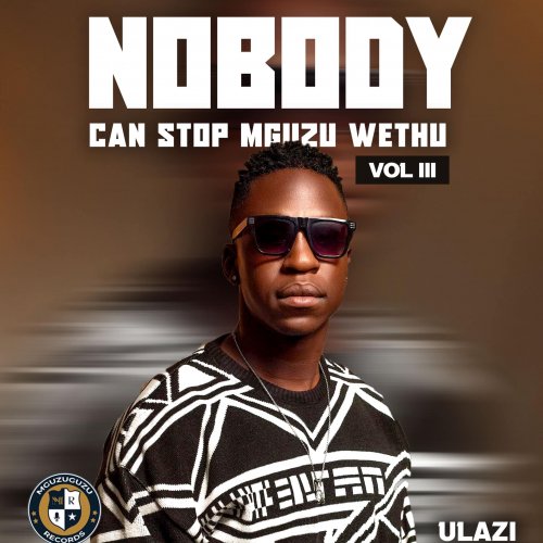 Nobody Can Stop Mguzu Wethu, Vol. 3 by uLazi