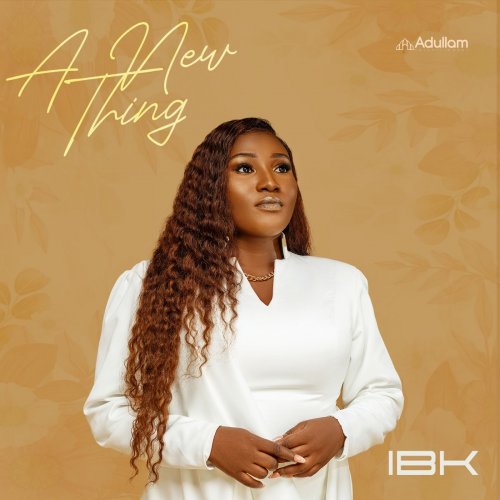 A New Thing by IBk | Album