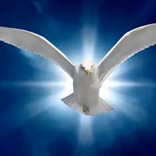 Shina Lya Yesu Busuma