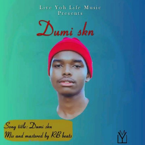 Life of Dumi Skn music