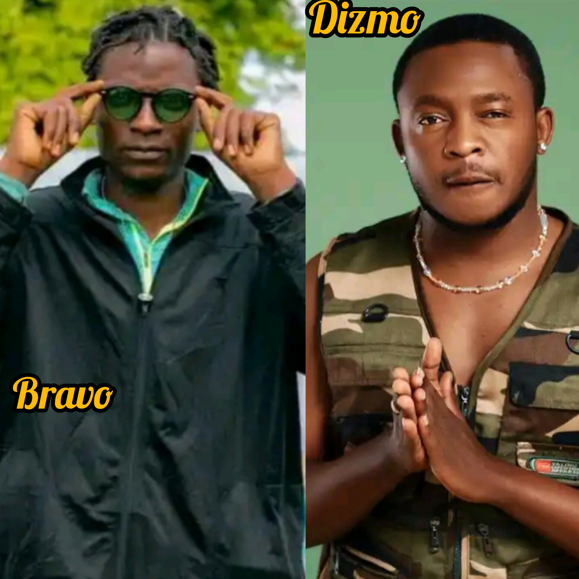 Nyoni Pa Zali (Bravo ft Dizmo) Download the song