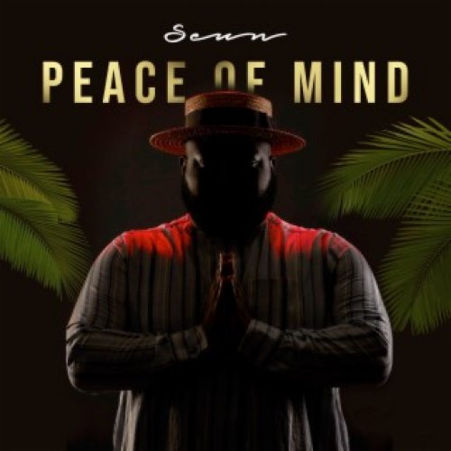 Peace of Mind by Seun