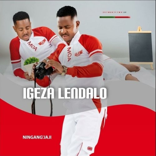 Igeza Lendalo by Umdumazi