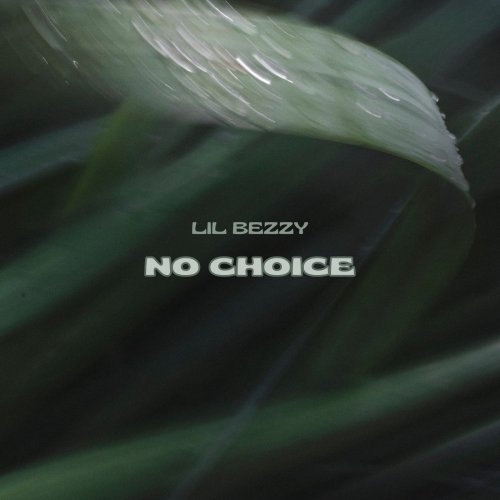 No choice by Lil bezzy | Album