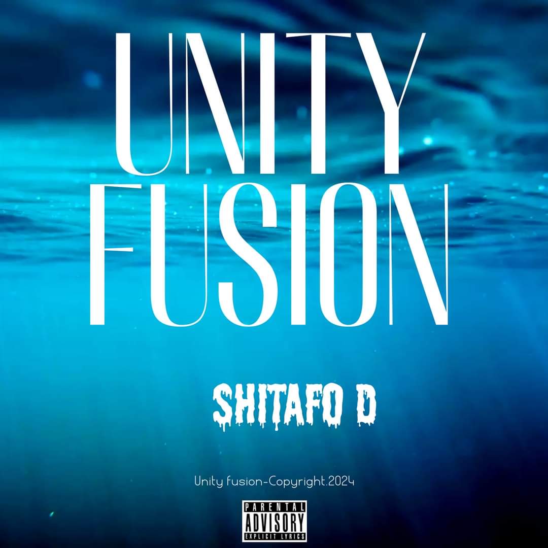 Unity Fusion by Shitafo D | Album