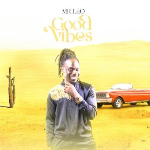 Good Vibes by Mr Leo | Album
