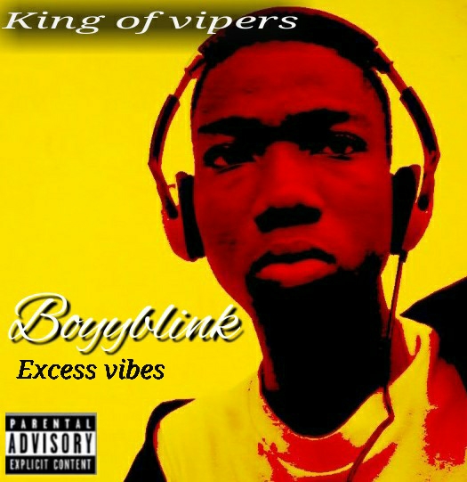 Excess Vibes by Boyyblink | Album