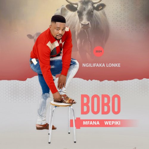 Ngalifaka Lonke by Bobo Mfana Wepiki | Album