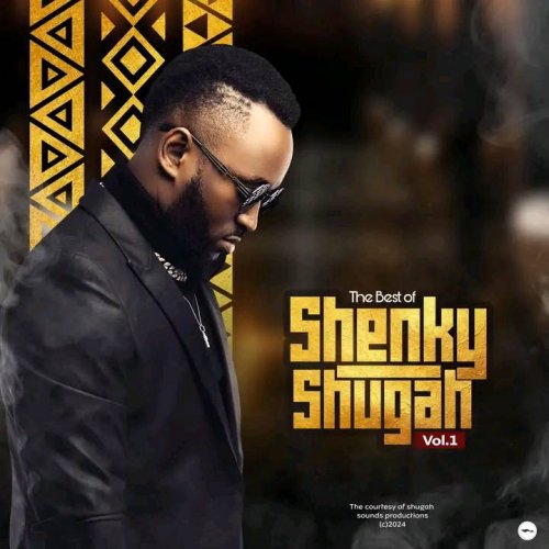 The Best Of Shenky Shugah Vol. 1 by Shenky | Album