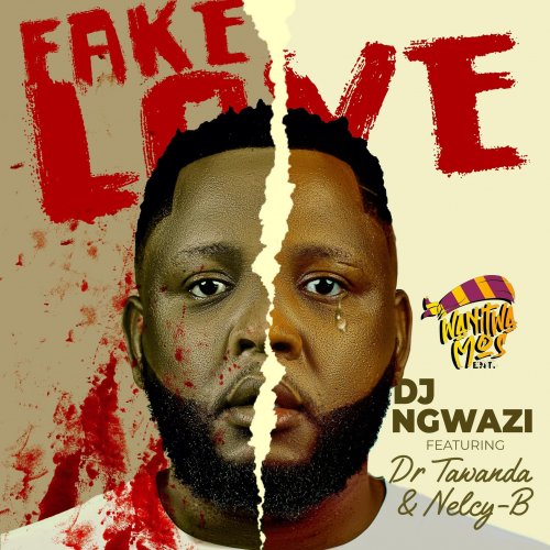 Fake Love (Ft Dr Tawanda & Nelcy-B)