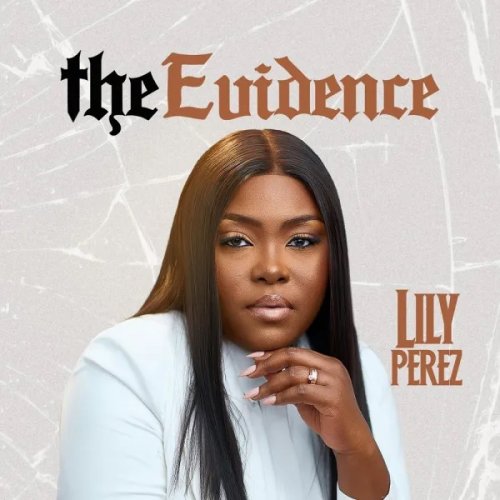The Evidence by Lily Perez