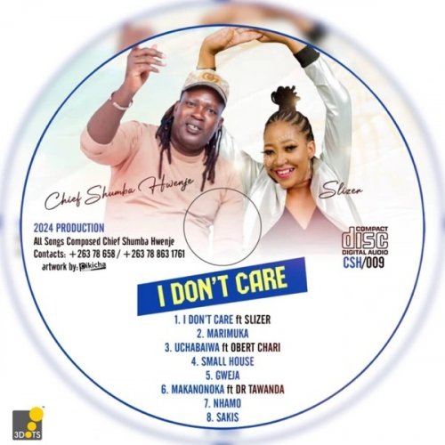 I Don't Care by Chief Shumba Hwenje | Album