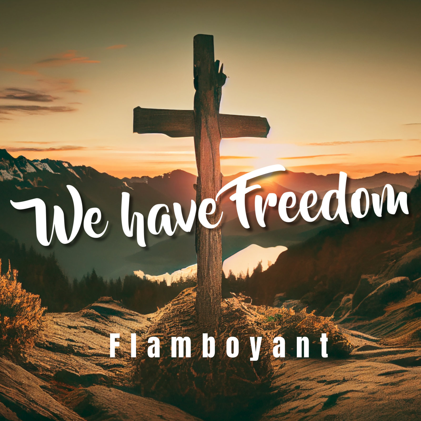 We Have Freedom (Ft Grace)