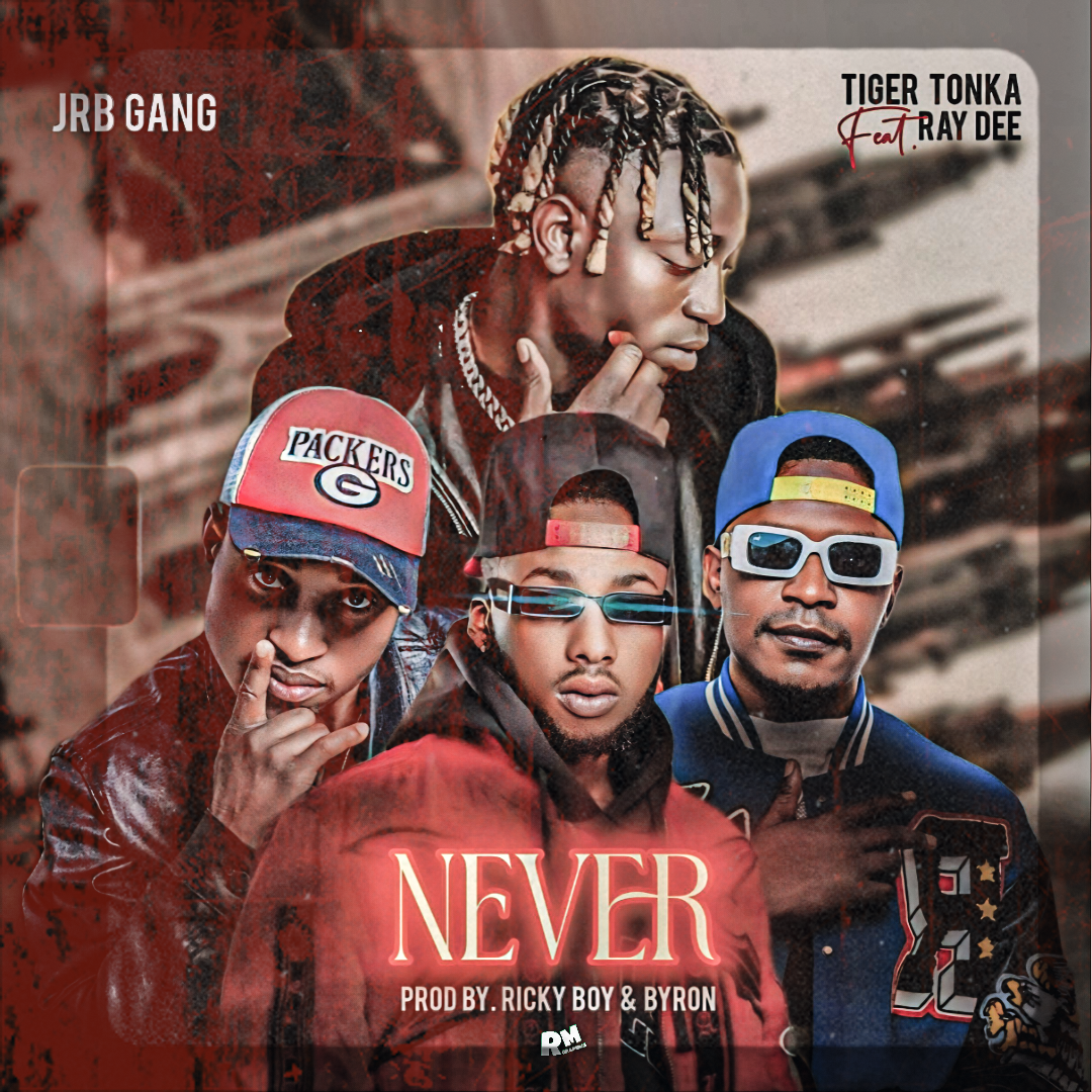 Never Ft Ray Dee & Tiger Tonka