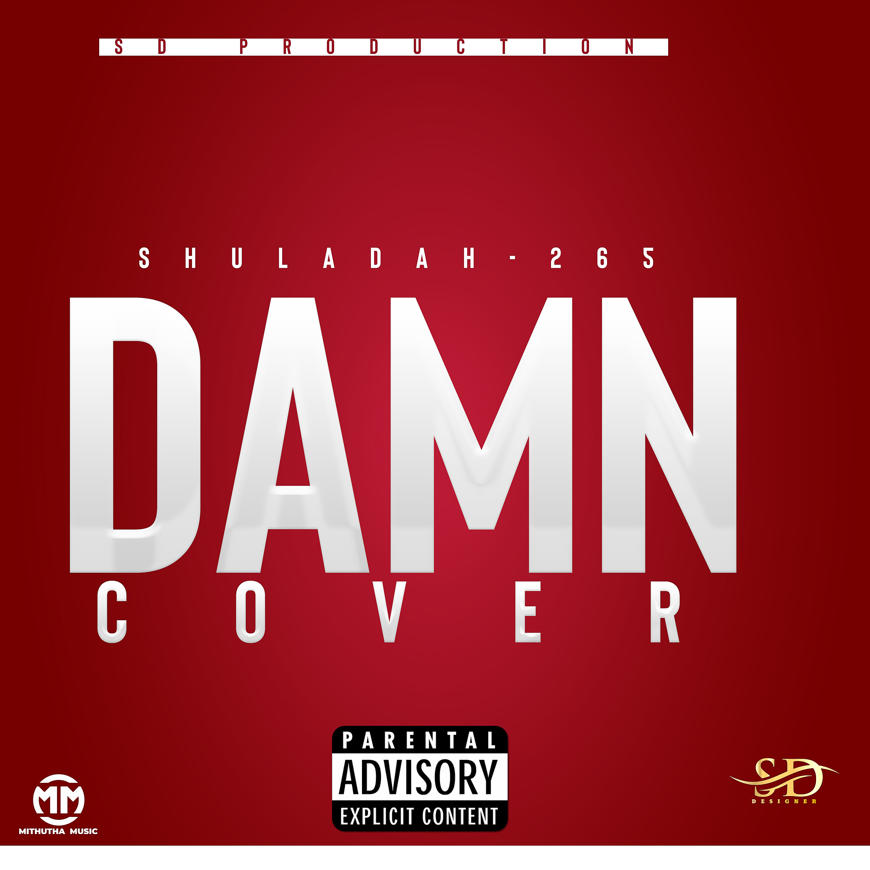 Damn cover