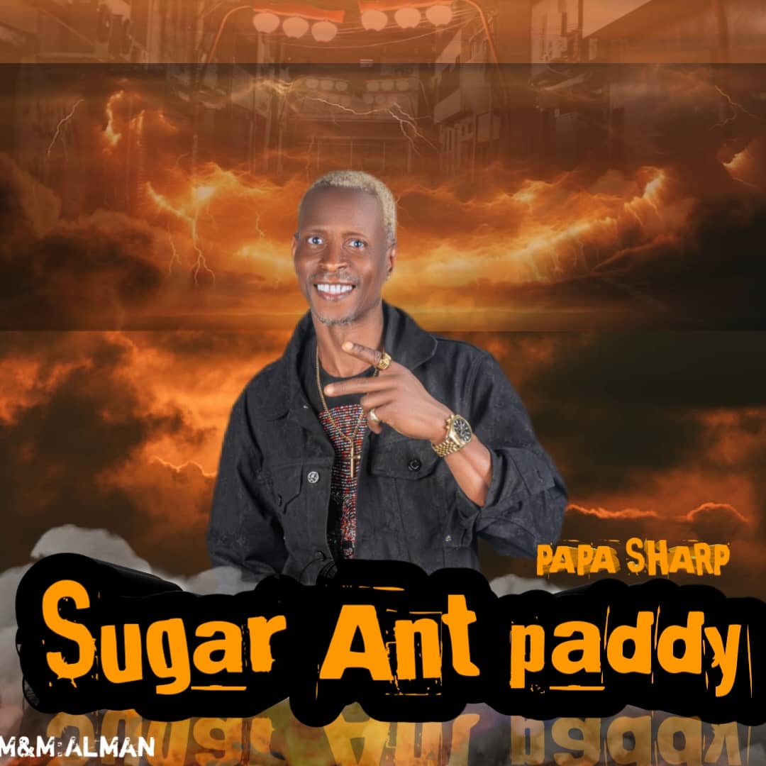 Sugar Ant paddy