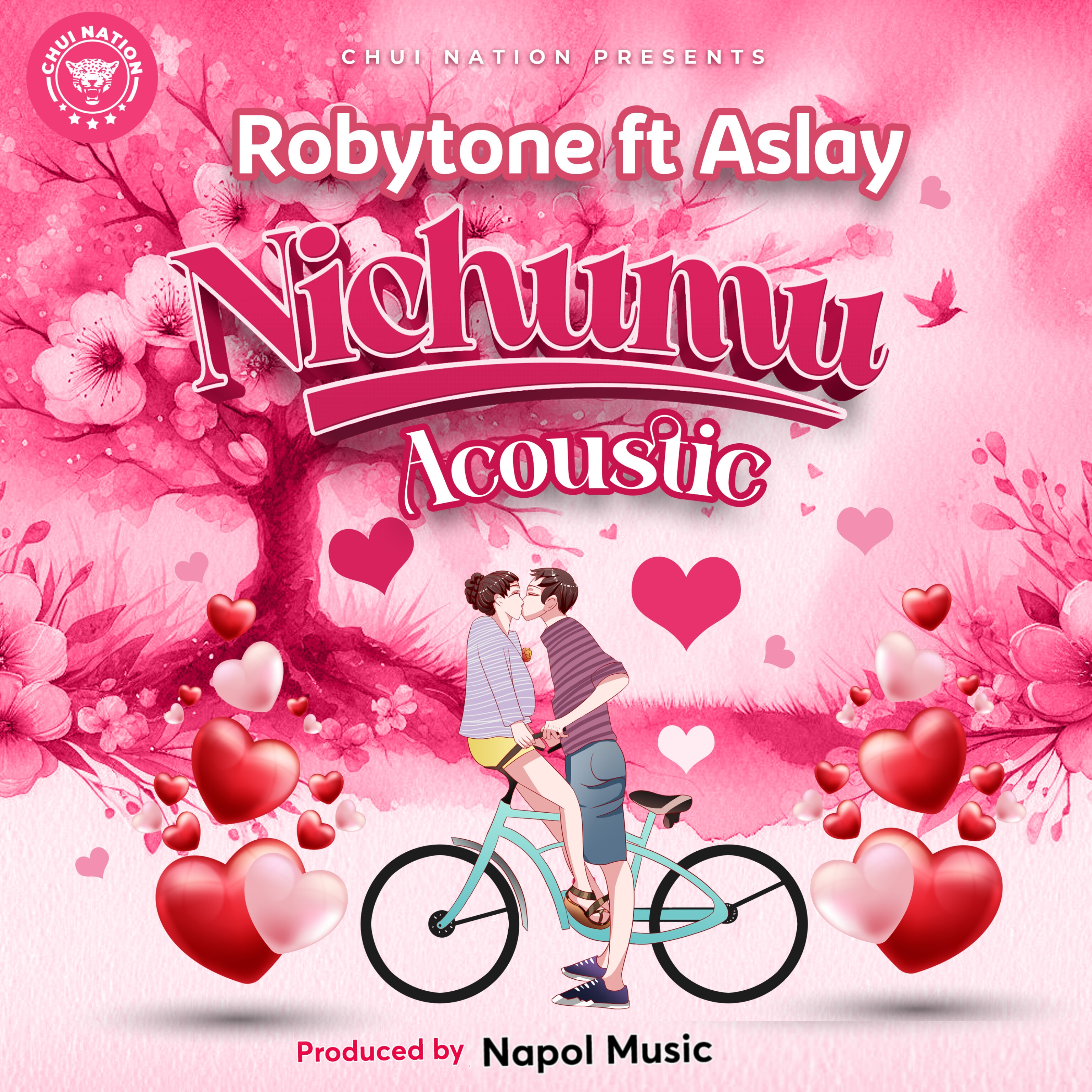 Nichumu Acoustic (Ft Aslay)