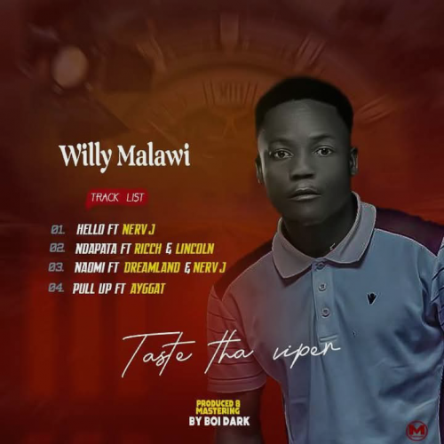 TASTE THA VIPER EP by Willy malawi