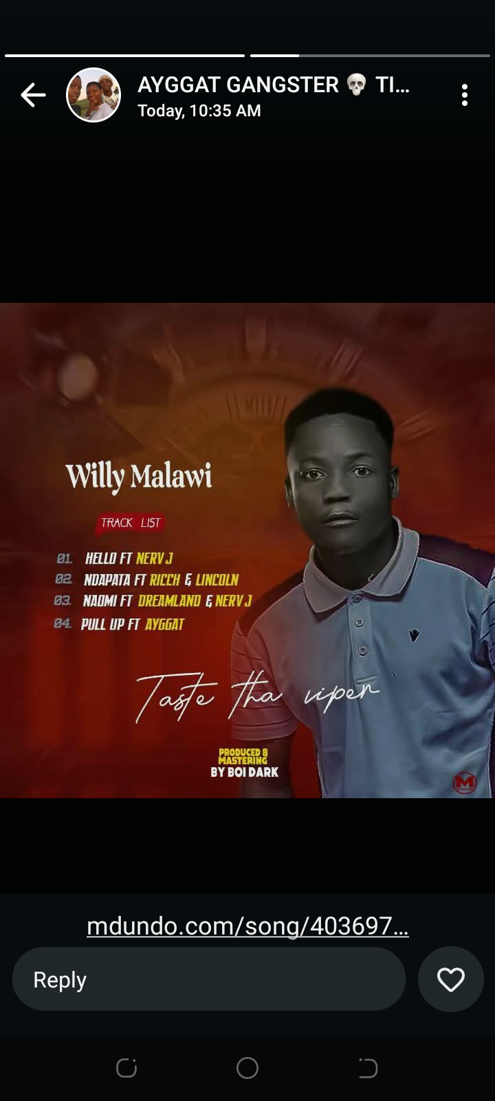 TASTE THA VIPER EP by Willy malawi | Album