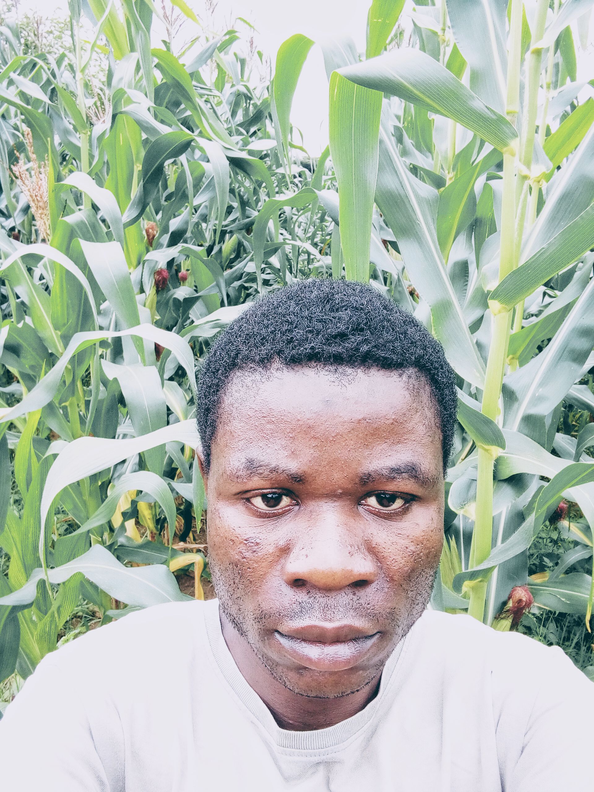 don't show yourself too much