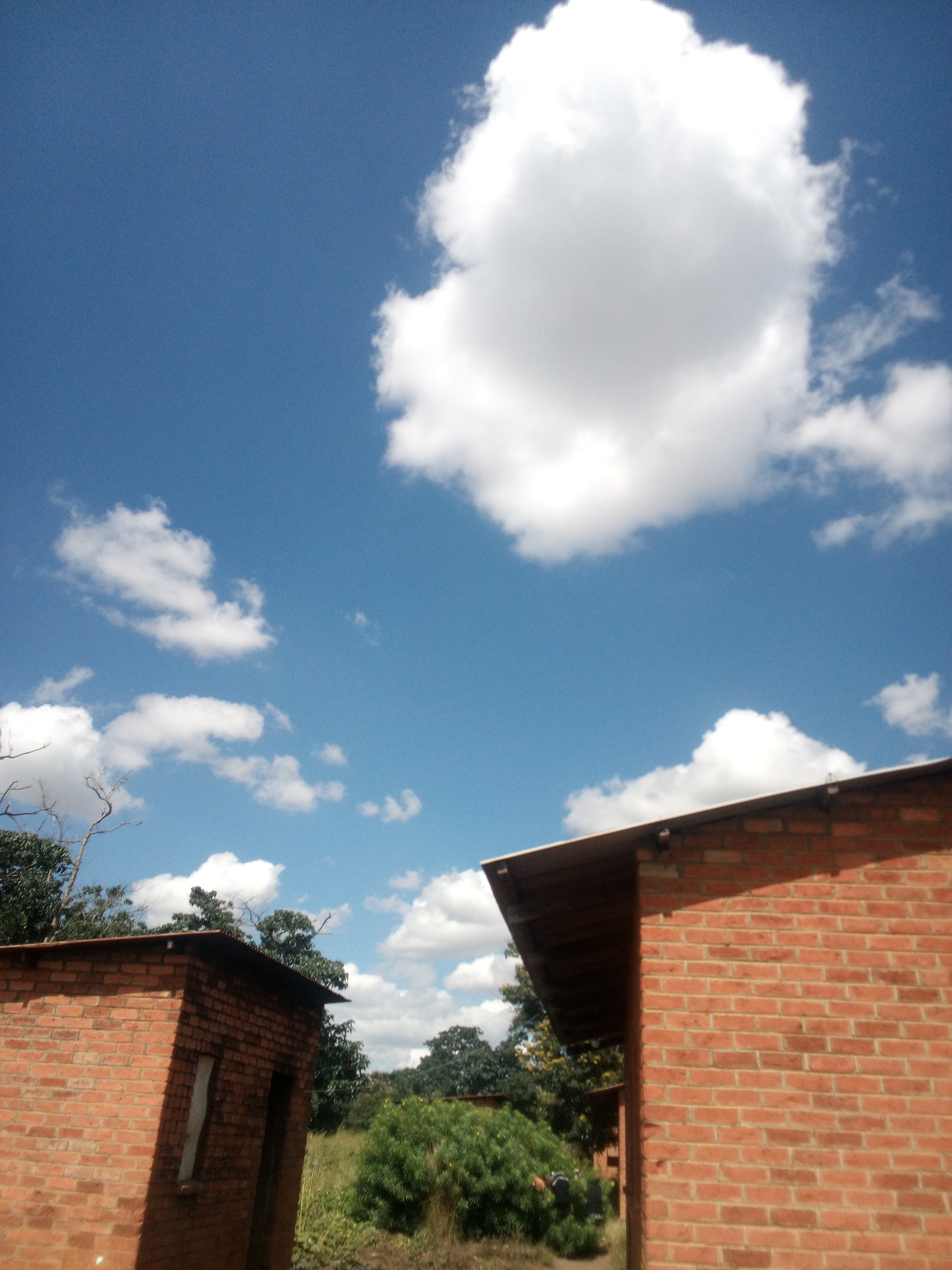 Africa