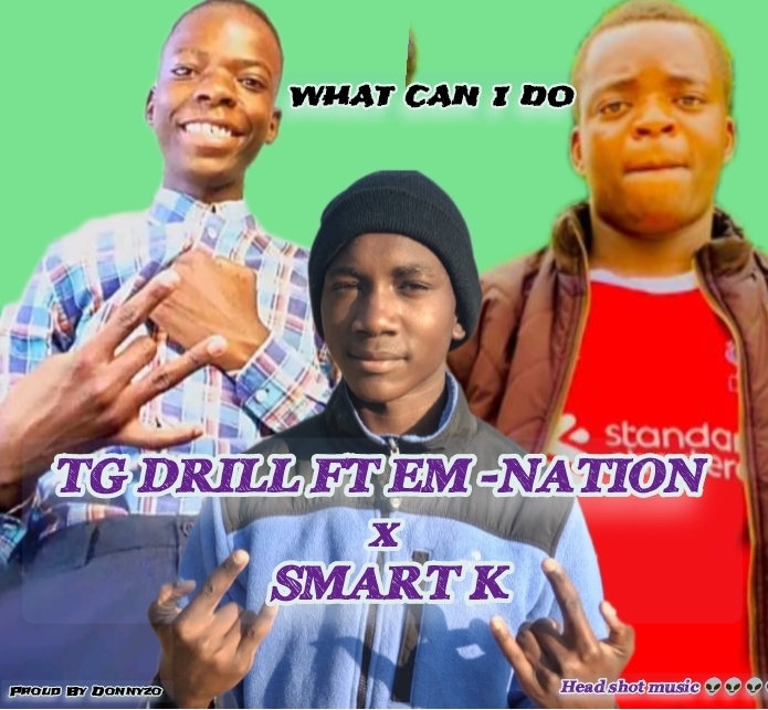 What can I do (TG drill Ft Em-nation, Smart k)
