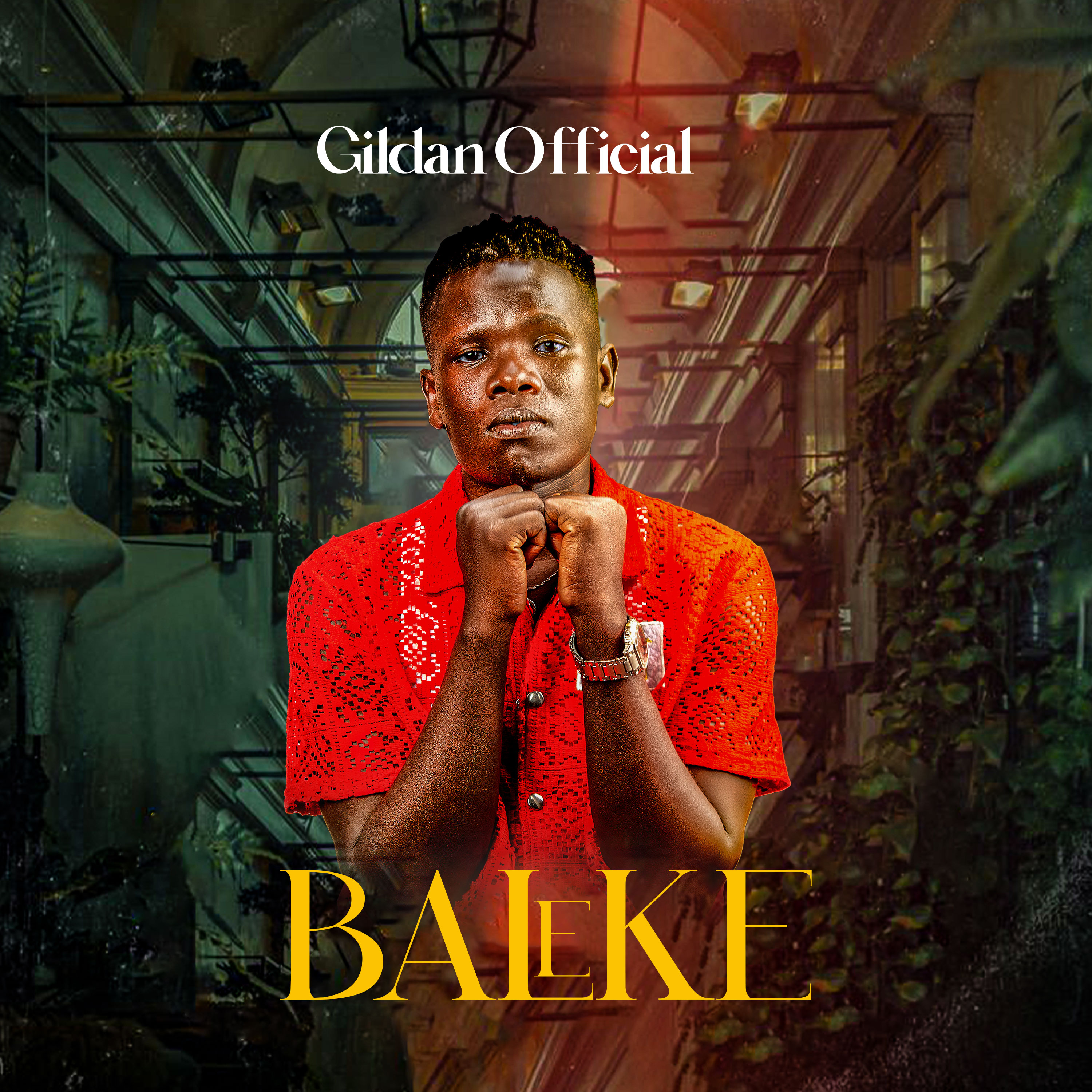 Baleke (kugawumbaku)