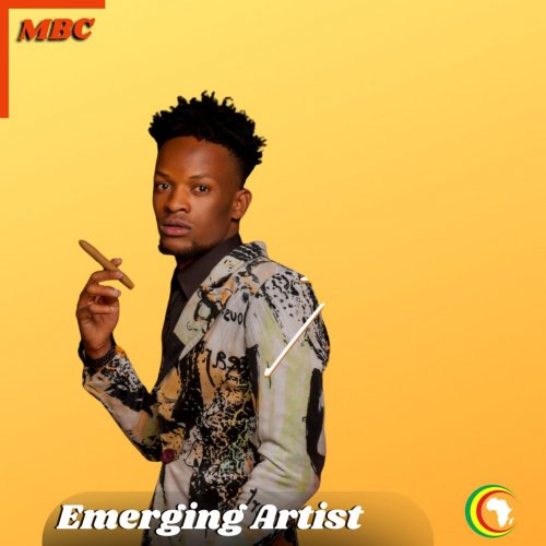 Emerging Artists