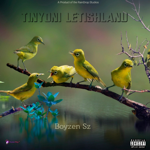 Tinyoni LetisHlanu