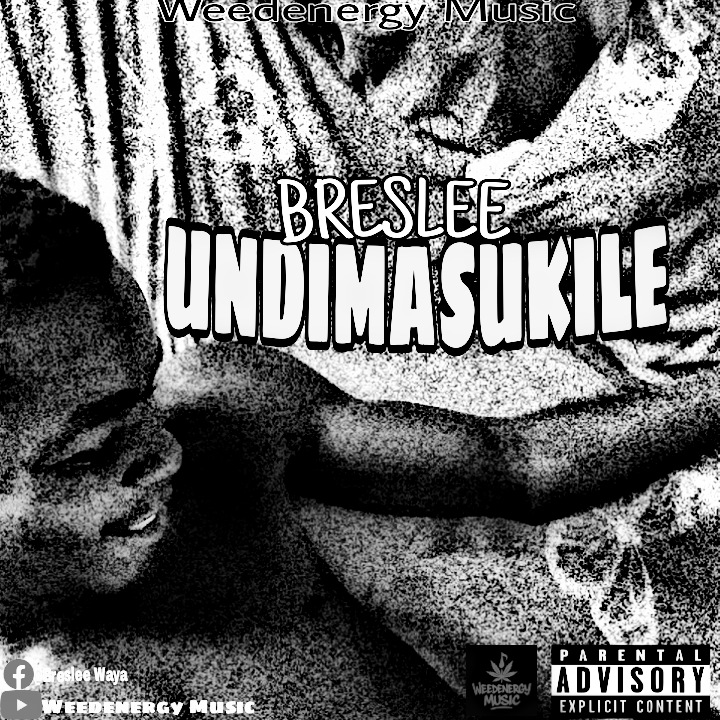 Undimasukile