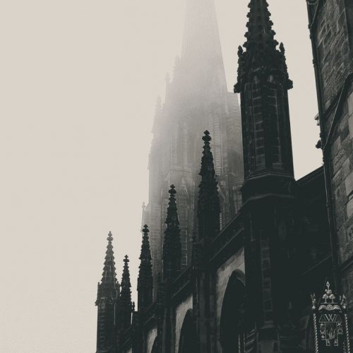 cvfdfdg