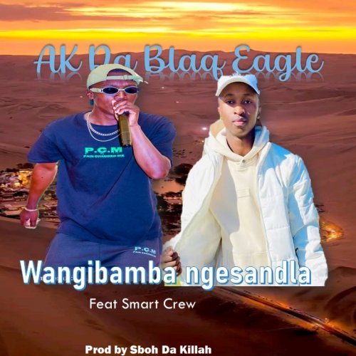 Wandibamba ngesandla (Love letter)