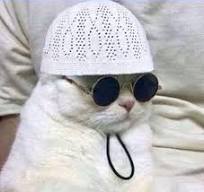safawrfwtfrwtrfwetfw