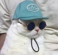 cxcxcxcxcxcxcxcxcxcxcxc