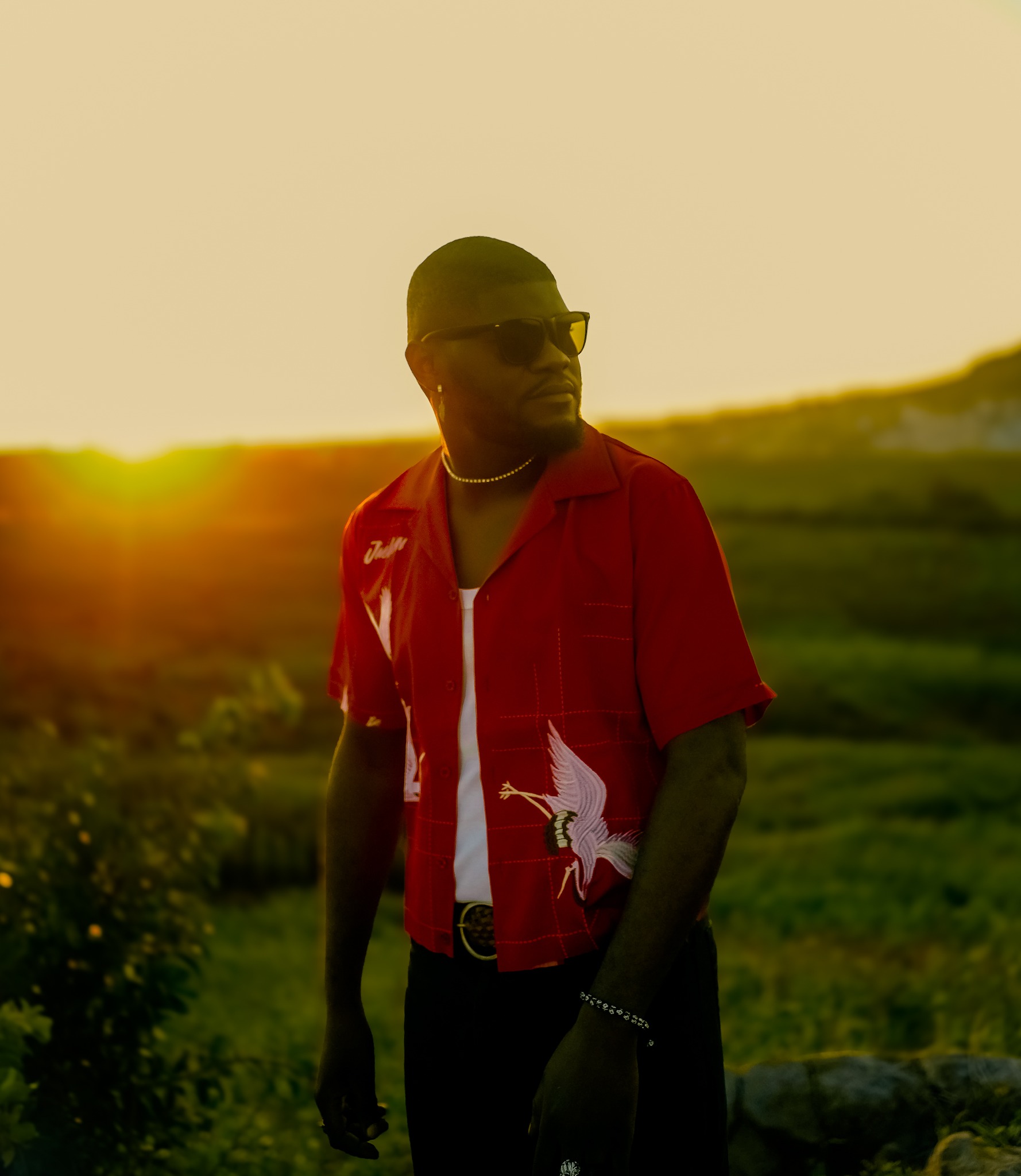 Bro Emotional Afrobeats Tribute Song